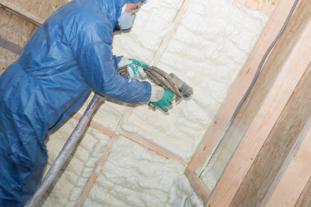 Best Eco-Friendly or Green Insulation Solutions  in Los Gatos, CA